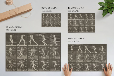 Plakatas 73 lentelė. Nustebęs apsisukimas ir bėgimas (1887 m.), Eadweard Muybridge