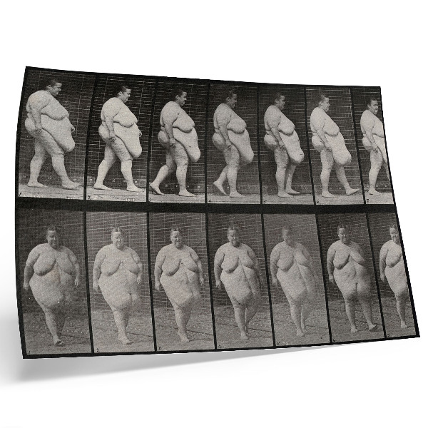 Plakatas Nutukusi moteris eina. Eadweardo Muybridge'o fototipas, 1887 m.