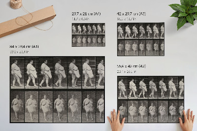 Plakatas Nutukusi moteris eina. Eadweardo Muybridge'o fototipas, 1887 m.