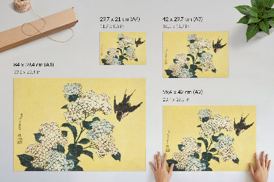 Spauda ant drobės Hortenzija ir kregždė (1833 m.) – Hokusai spalvotas medžio raižinys