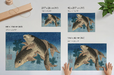 Plakatas Karpis plaukioja tarp jūros dumblių (1831 m.) – japoniška žuvies iliustracija
