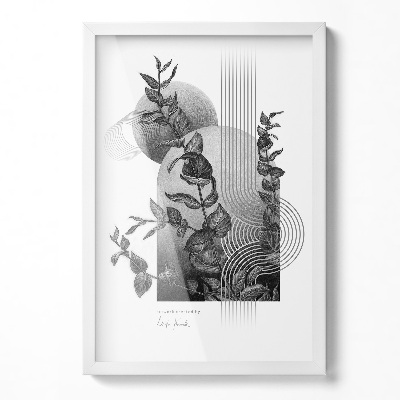 Balta Rėmelis Nuotraukai 40x60 cm