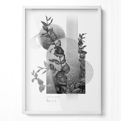 Balta Plakatų Rėmelis 50x70 cm