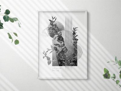 Balta Plakatų Rėmelis 50x70 cm