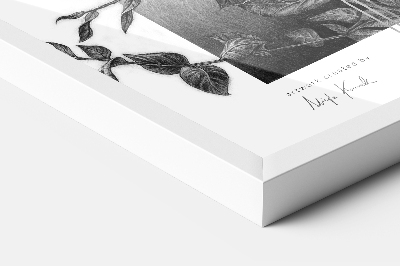 Balta Plakatų Rėmelis 50x70 cm