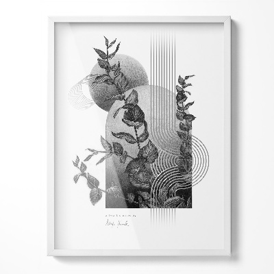 Balta Rėmas Paveikslui 60x80 cm