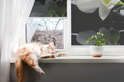 Vidiniai roletai Orchidėjos ir elegancija