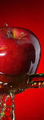 Vidiniai langų roletai Raudonas obuolys gelmėse