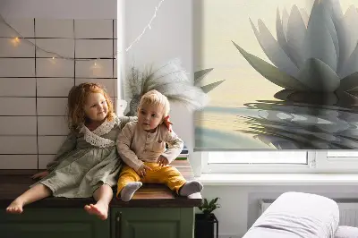 Roletai langams Vandens lelijos