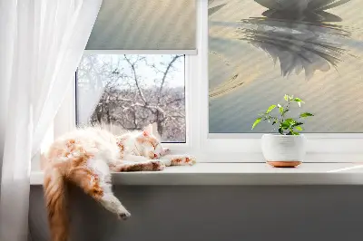 Roletai langams Vandens lelijos