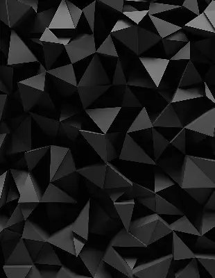 Vidiniai roletai Juodasis origami