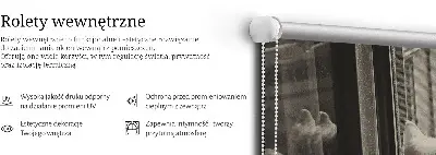 Vidiniai langų roletai Katės lange