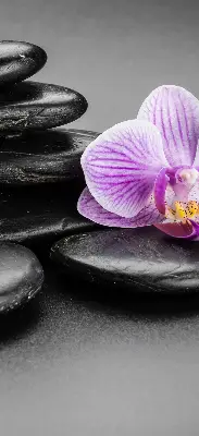 Vidiniai roletai Orchidėja ant akmenų