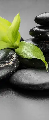 Vidiniai roletai Orchidėja ant akmenų