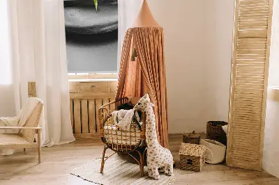 Vidiniai roletai Orchidėja ant akmenų