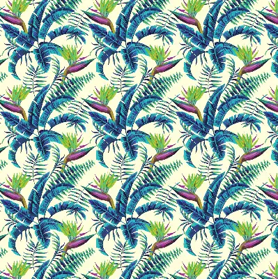 Roletai langams Tropiniai augalai