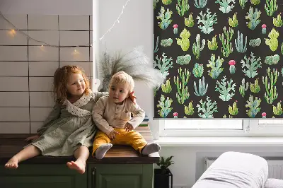 Roletai balkono durims Kaktusai