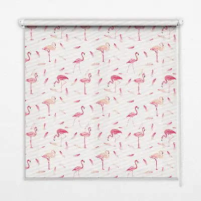 Vidiniai langų roletai Flamingos ir jų plunksnos