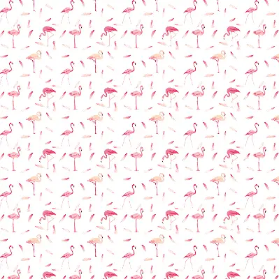 Vidiniai langų roletai Flamingos ir jų plunksnos