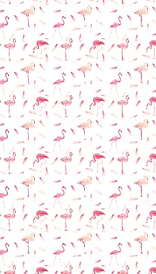 Vidiniai langų roletai Flamingos ir jų plunksnos