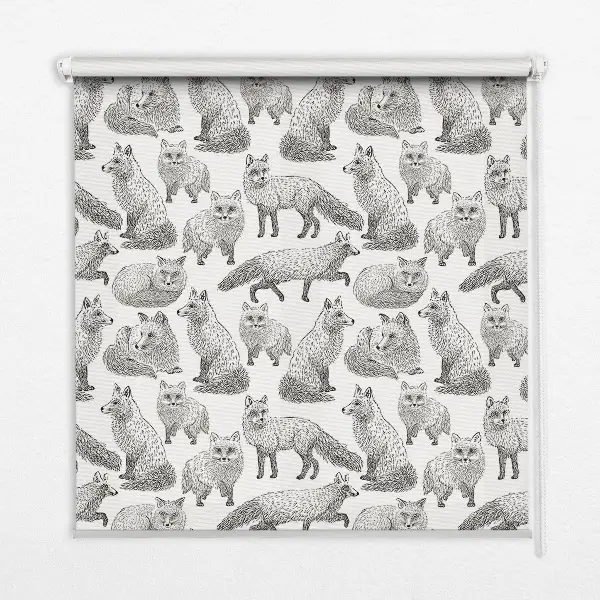 Medžiaginiai roletai Pilkosios lapės