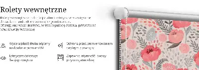 Vidiniai roletai langams Aguona