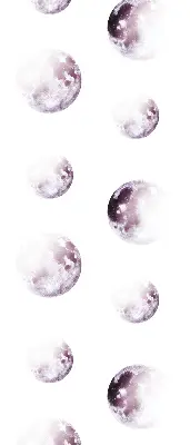Vidiniai roletai Pilkos planetos