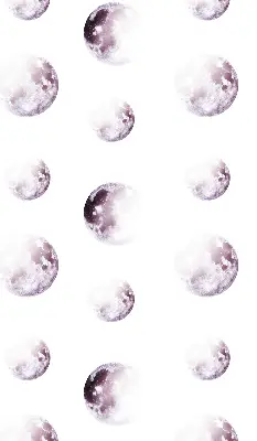 Vidiniai roletai Pilkos planetos