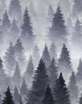 Vidiniai langų roletai Rūkas miškas