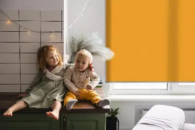 Roletai langams Tamsiai oranžinė