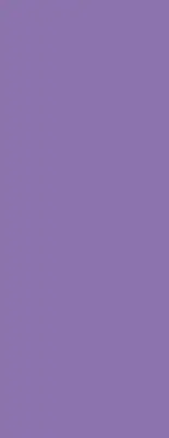 Roletai langams Violetinė