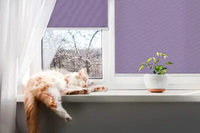 Roletai langams Violetinė