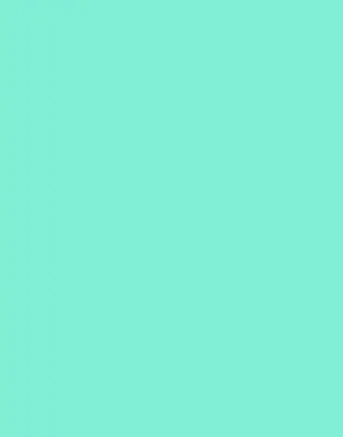 Vidiniai roletai Turkis