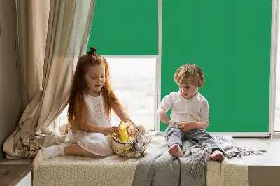 Medžiaginiai roletai Žalia
