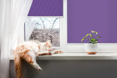 Vidiniai langų roletai Violetinė