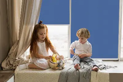 Vidiniai roletai Mėlyna