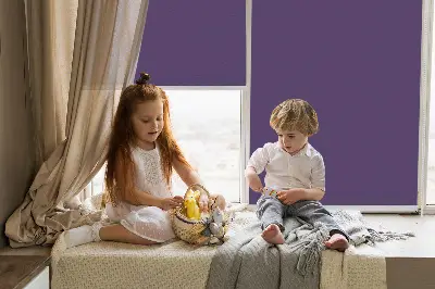 Vidiniai langų roletai Violetinė