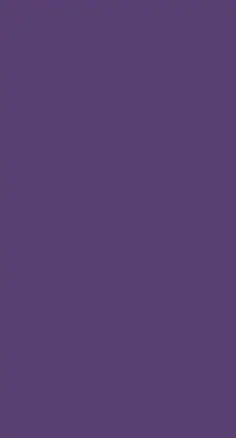 Vidiniai langų roletai Violetinė