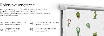 Medžiaginiai roletai Kaktusai