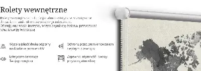 Vidiniai roletai Juodieji žemynai
