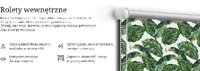 Vidiniai roletai Egzotiniai lapai