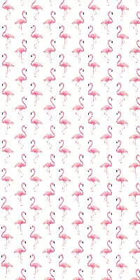 Vidiniai roletai langams Flamingos