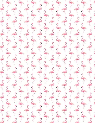 Vidiniai roletai langams Flamingos