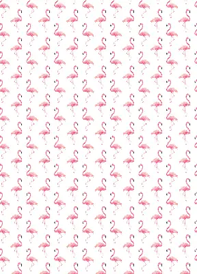 Vidiniai roletai langams Flamingos