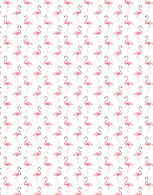 Vidiniai roletai langams Flamingos