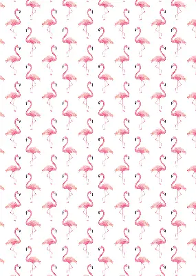 Vidiniai roletai langams Flamingos