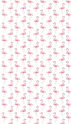 Vidiniai roletai langams Flamingos