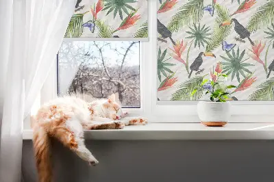 Roletai langams Tukanai ant gėlių