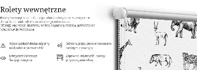 Roletai langams Gyvūnai