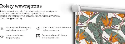 Roletai balkono durims Gėlės ir lapai